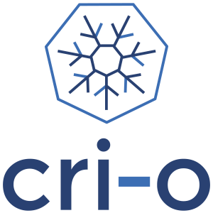 Read more about the article Our Audit of CRI-O is Complete – High Severity Issues Found and Fixed