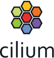 Read more about the article Our Audit of Cilium is Complete!