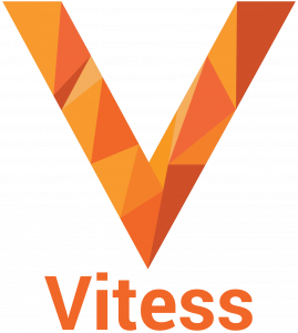 Read more about the article Our audit of Vitess is complete!