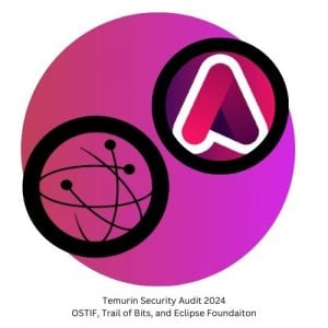 Read more about the article Temurin Audit Complete!